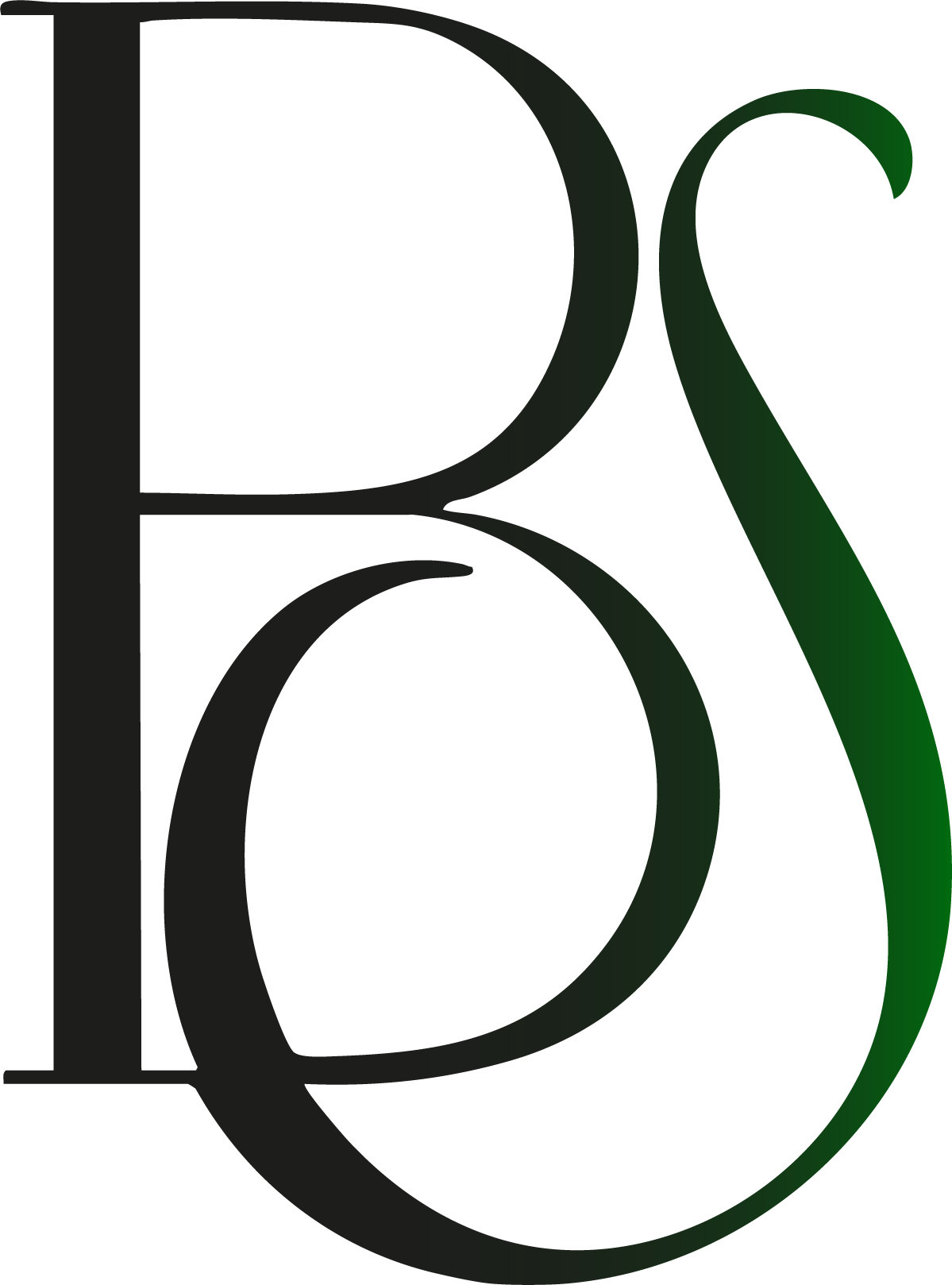 Logo Psicóloga Bruna Schurmann